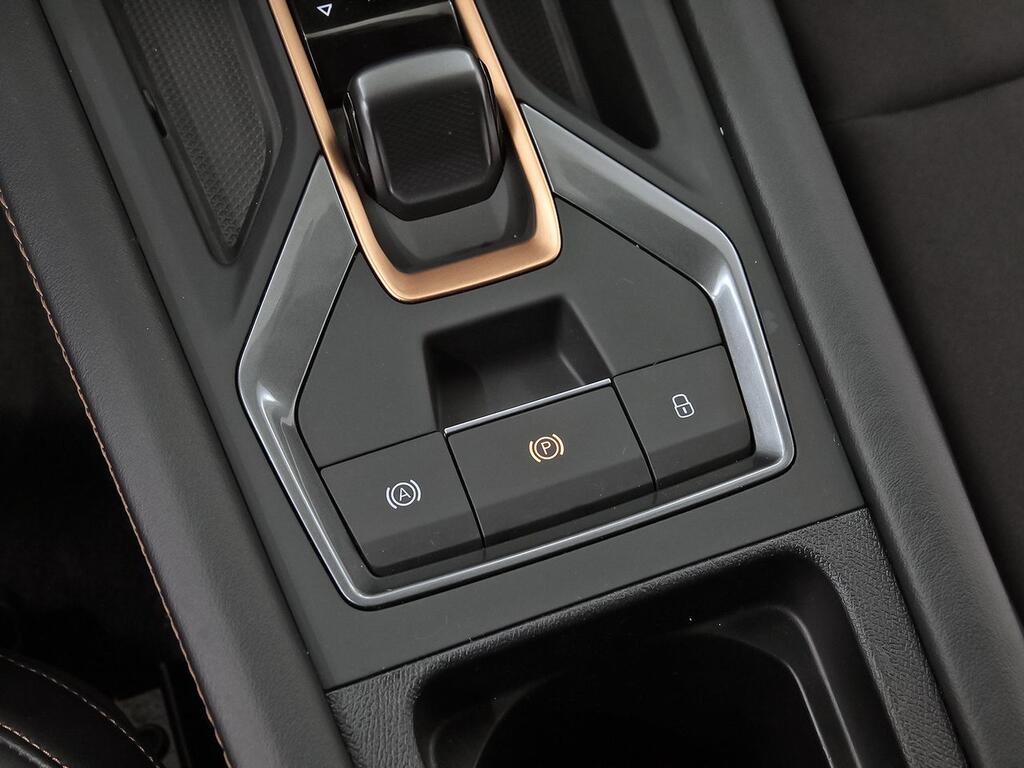 Cupra León 1.5 eTSI 110kW (150CV) DSG 30