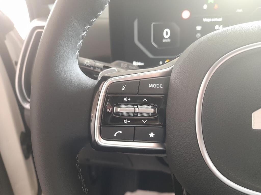 Kia Sorento 2.2 CRDi Emotion Pack Prem DCT 4x4 7pl 16