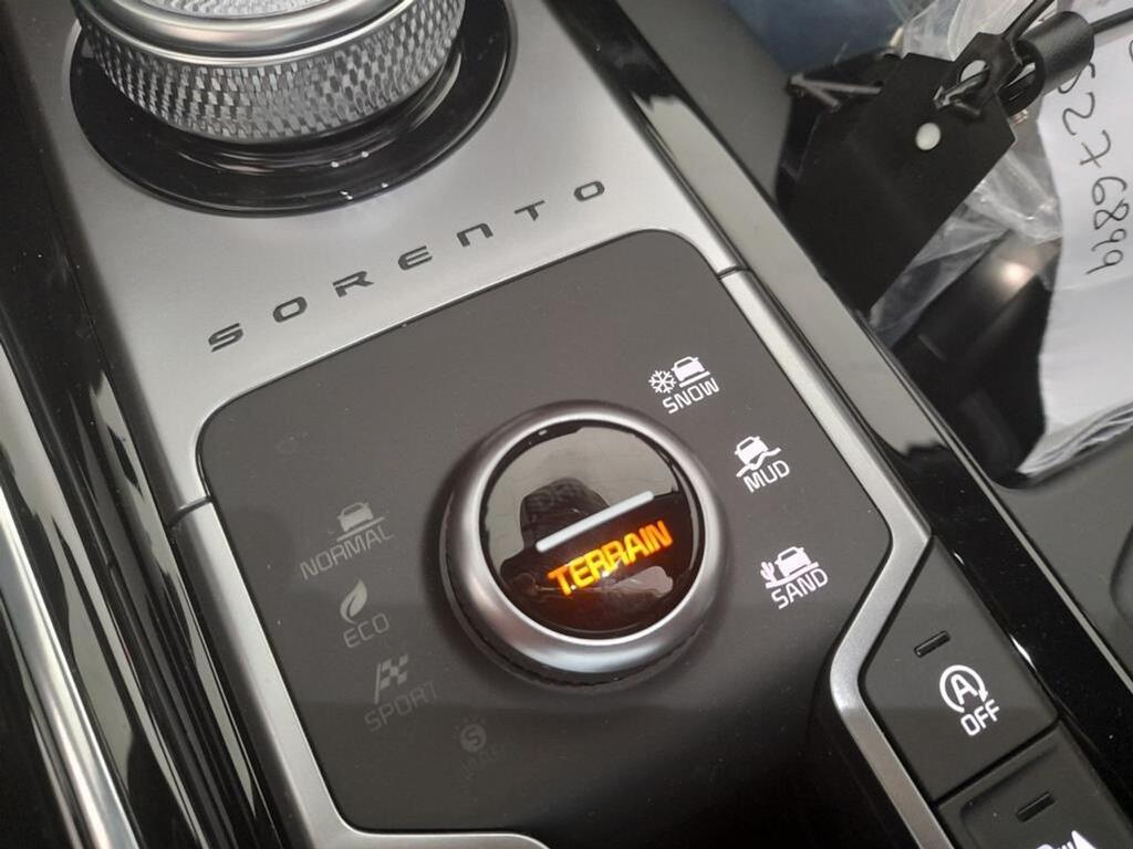 Kia Sorento 2.2 CRDi Emotion Pack Prem DCT 4x4 7pl 28