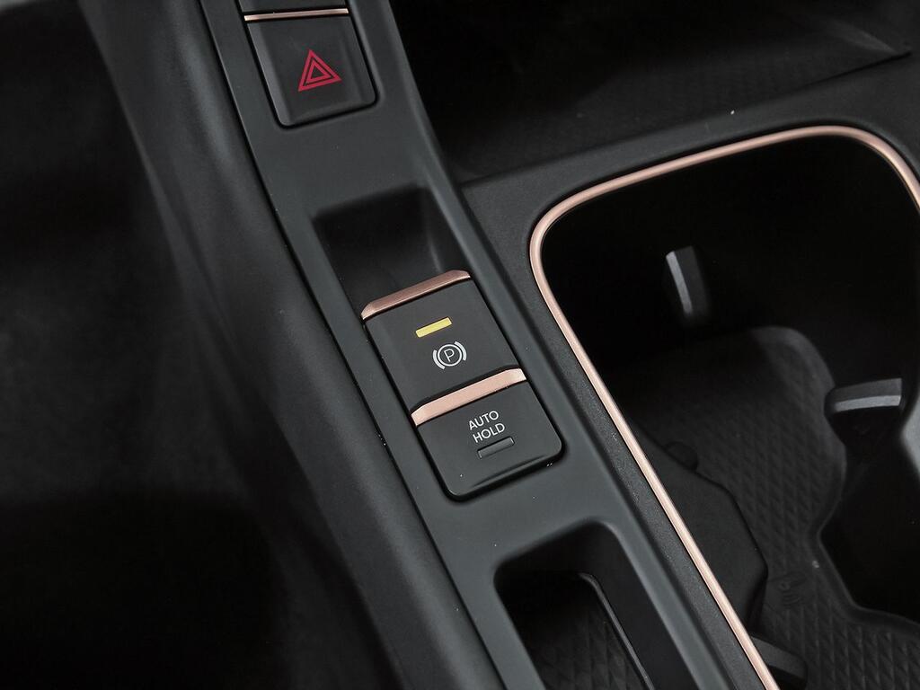 Cupra Terramar 1.5 TSI e-Hybrid 150kW (204 CV) DSG 35