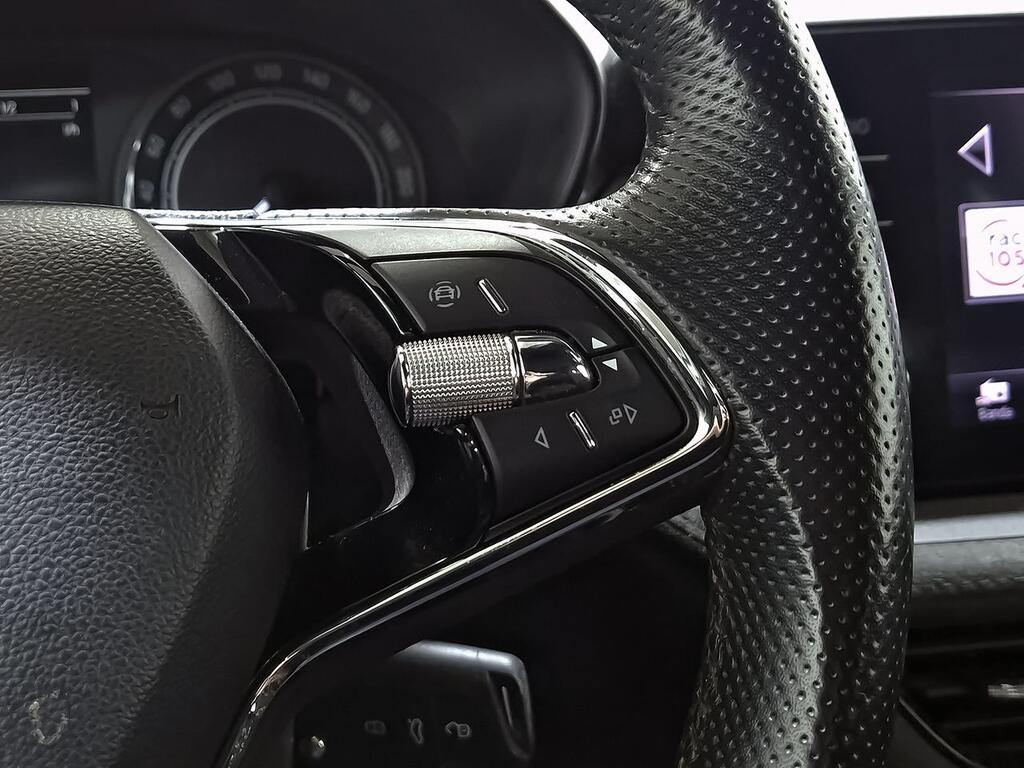 Skoda Fabia 1.0 TSI 81KW (110CV) Emotion 15