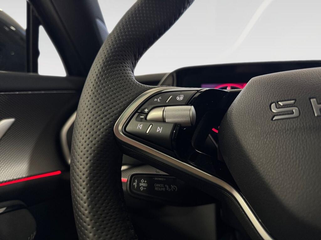 Skoda Kodiaq 1.5 TSI 150KW DSG PHEV Sportline 9