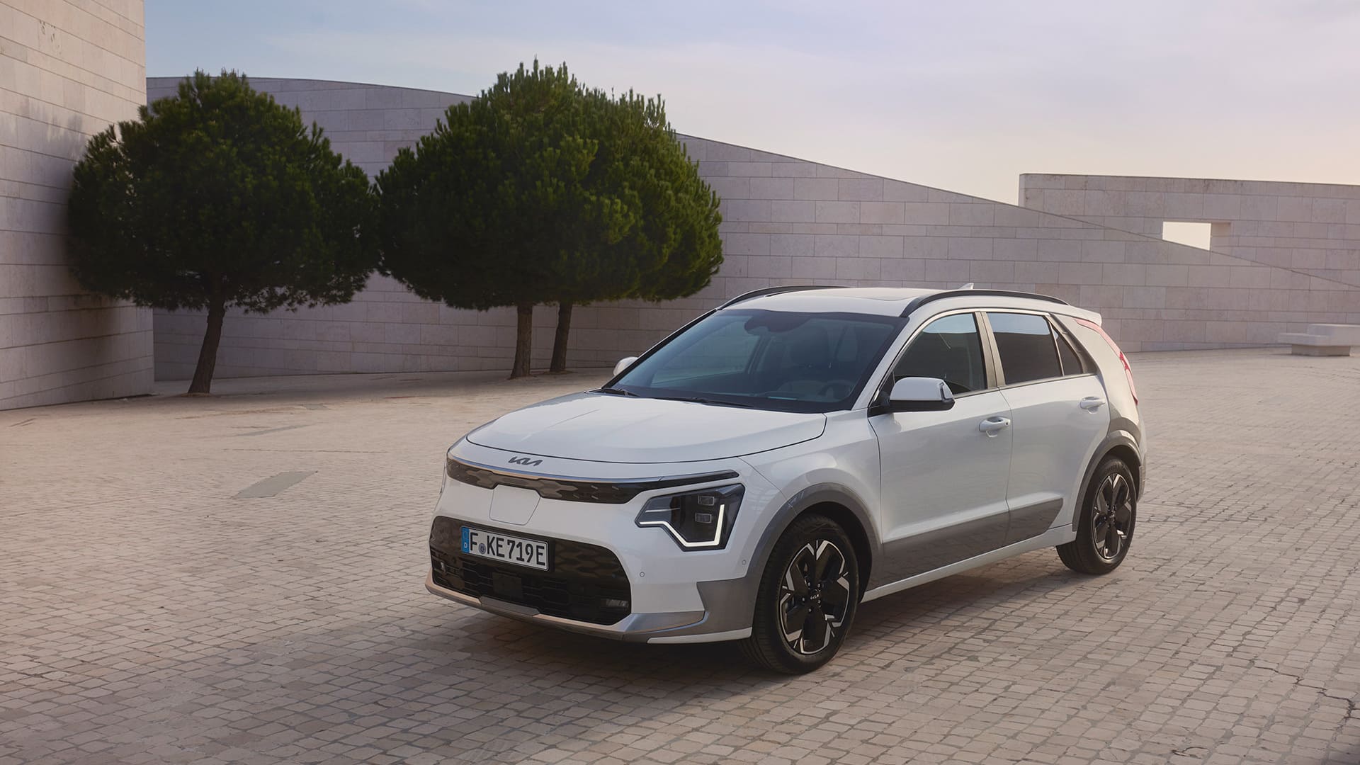 e-Niro