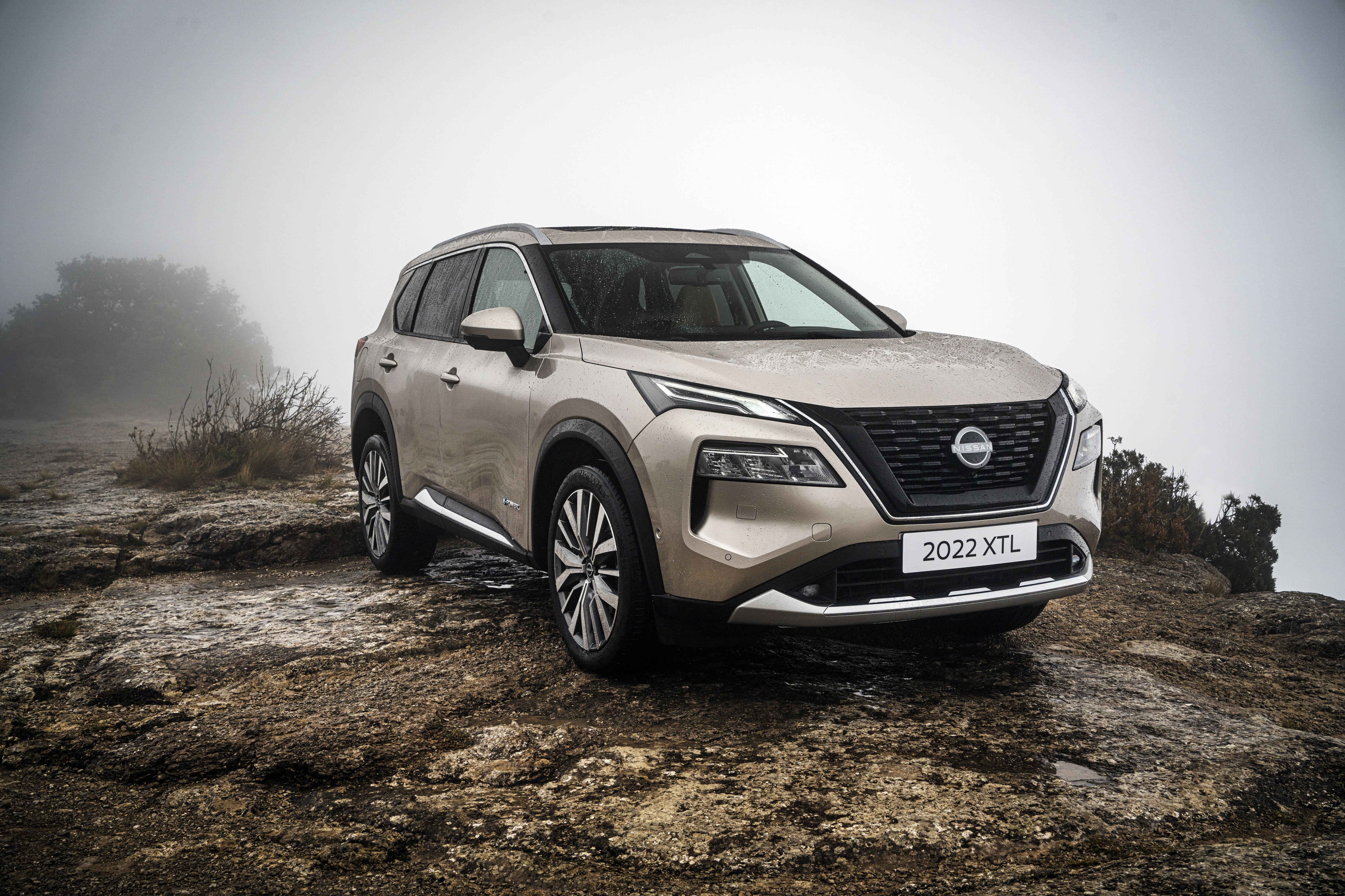 X-Trail