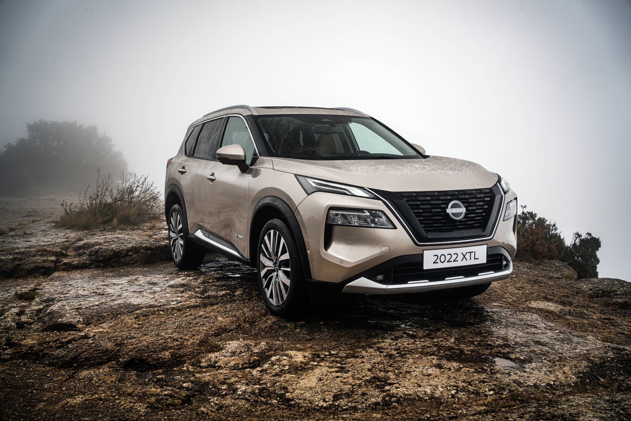 X-Trail