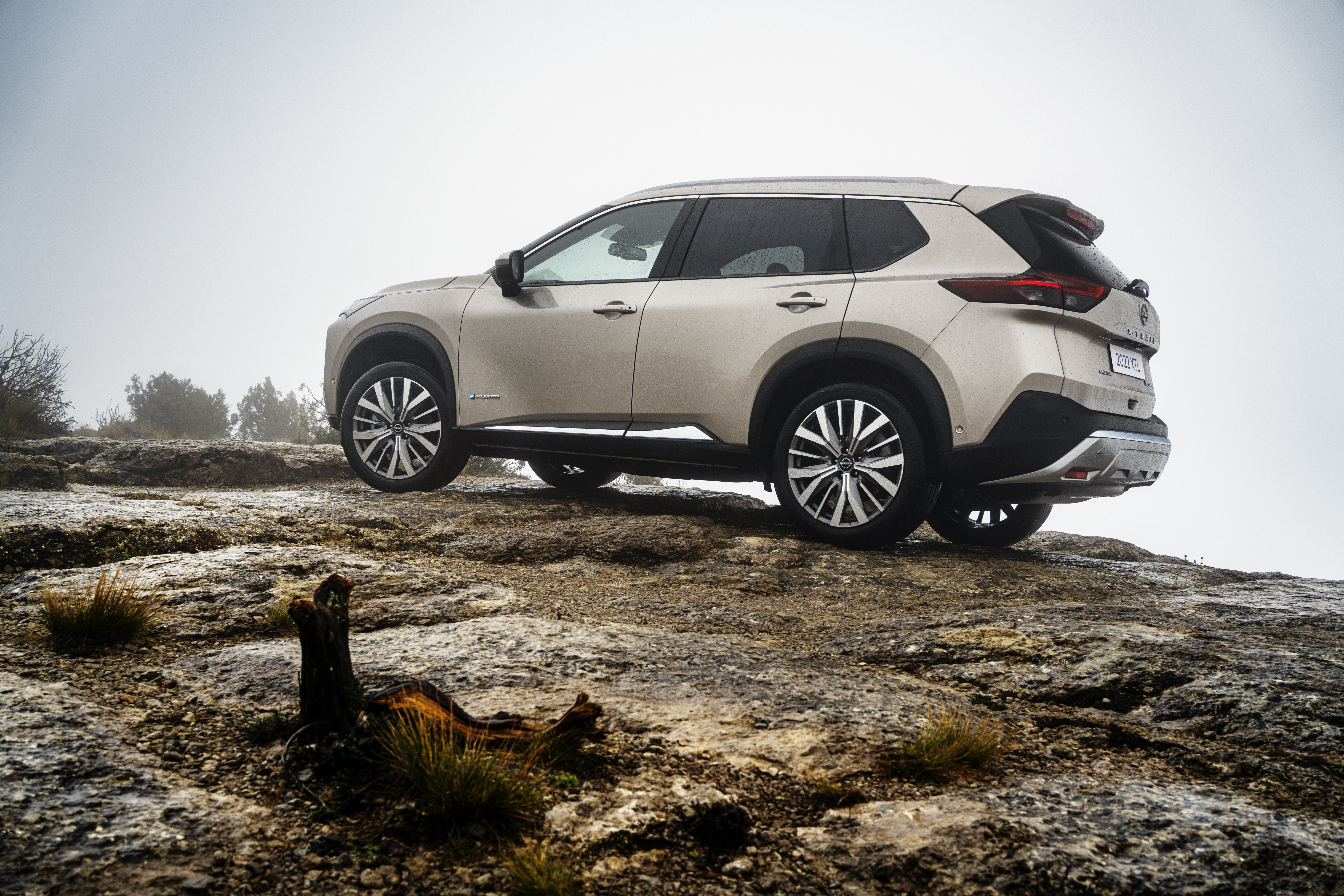 X-Trail