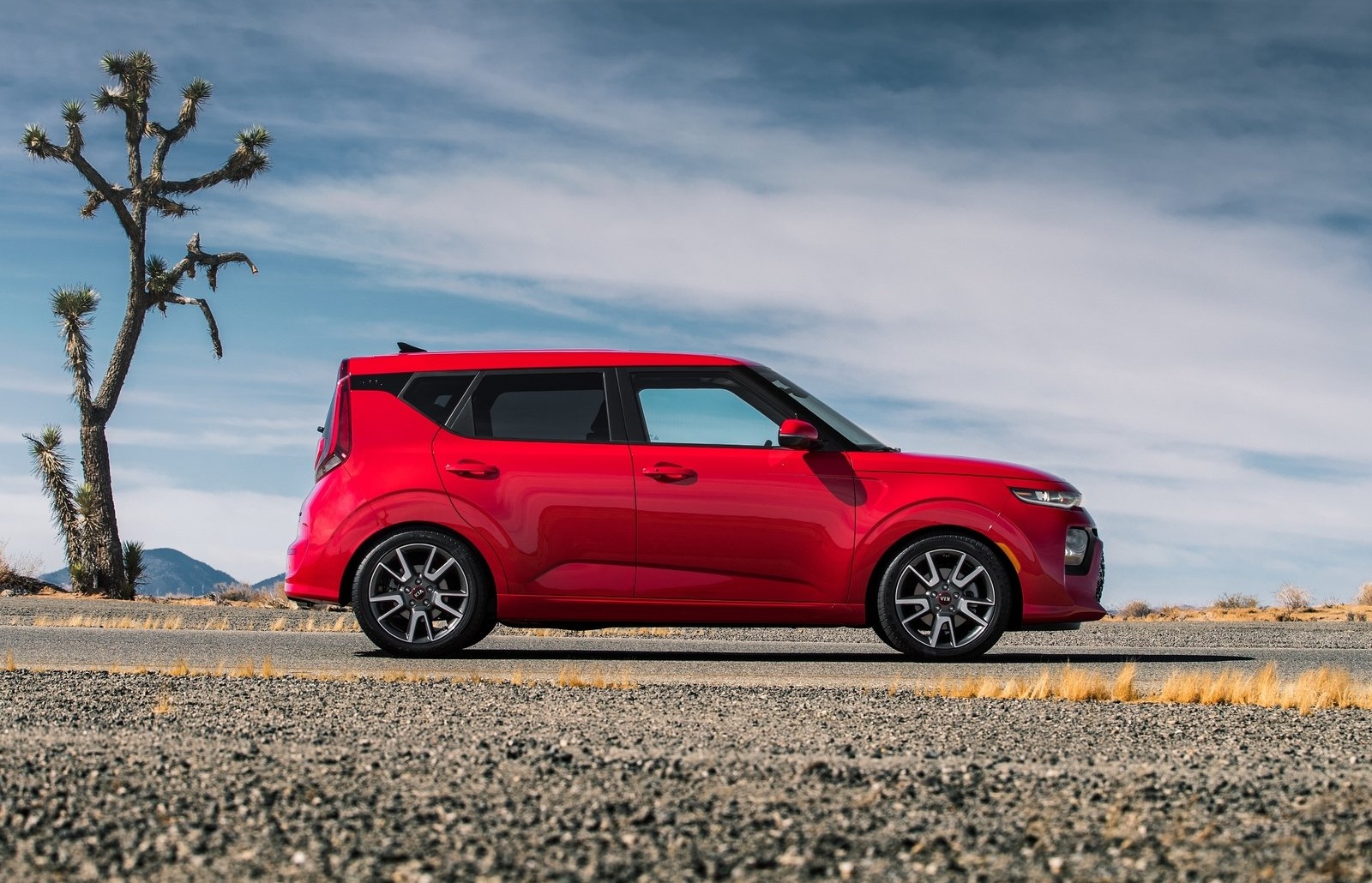 e-Soul