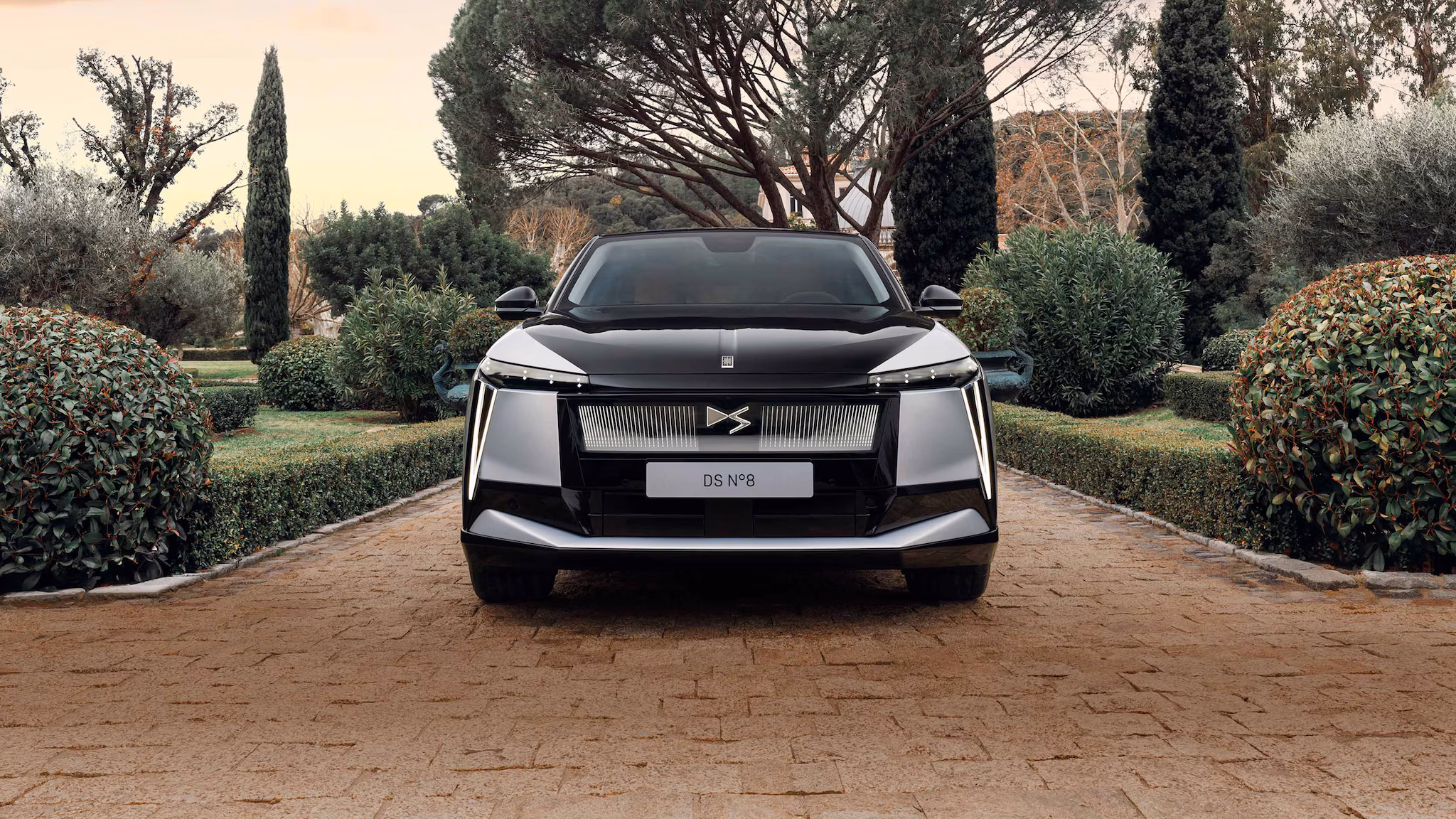 DS DS 3